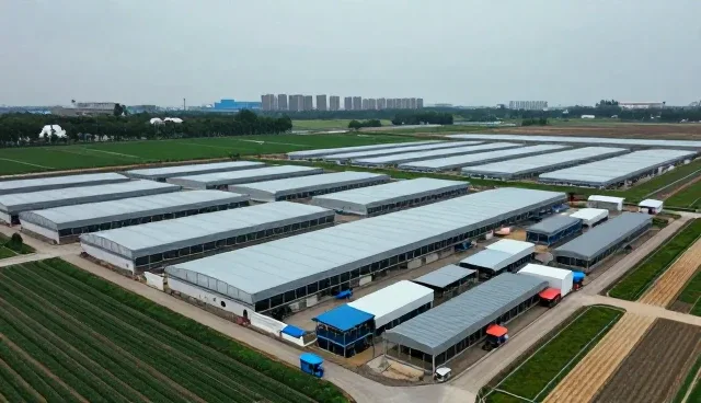 制造业交付质量提升的实践路径与服务升级方向